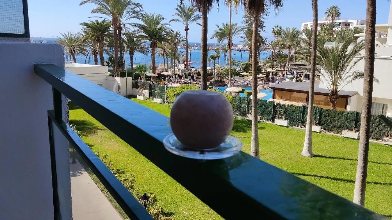 Paseo De Gracia - Lovely Studio By The Sea! Los Cristianos  Los Cristianos (Tenerife)